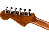 Fender CA STD Redondo CE IPG BLK Fender CA STD Redondo CE IPG BLK